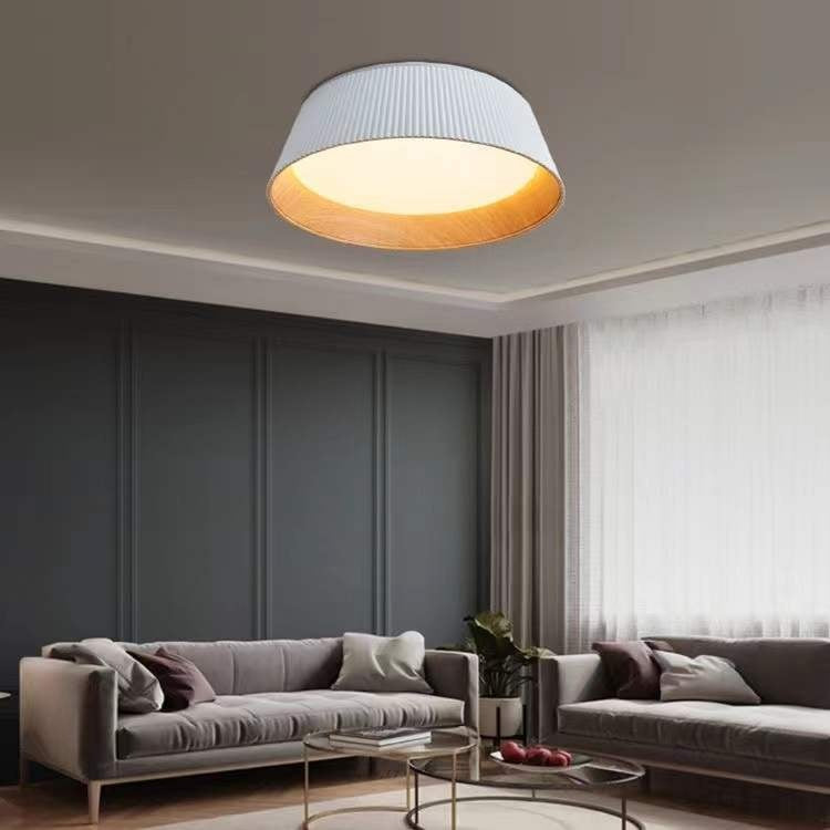 Italian Minimalist Full Spectrum Ceiling Light
